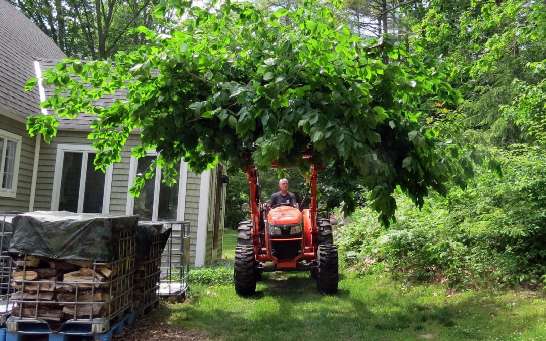 Farm Life: Chores