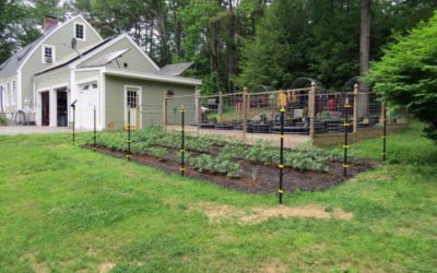 Putting up Electric Fencing