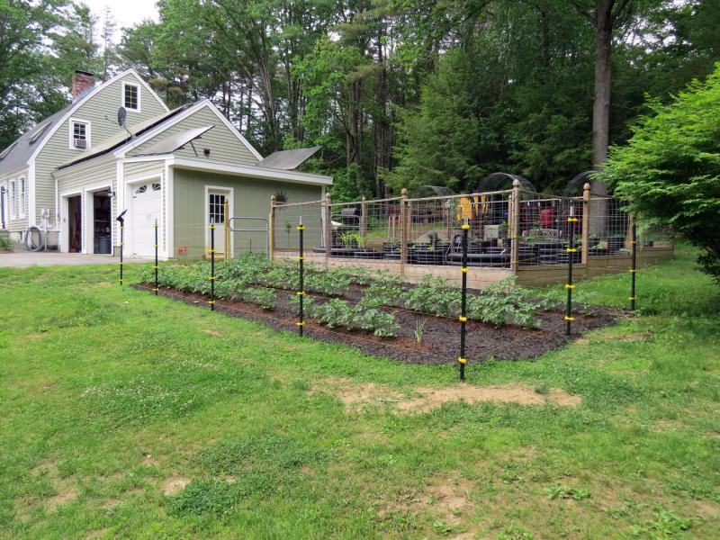 Putting up Electric Fencing